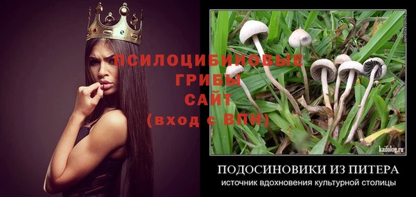 прущая мука Дмитриев